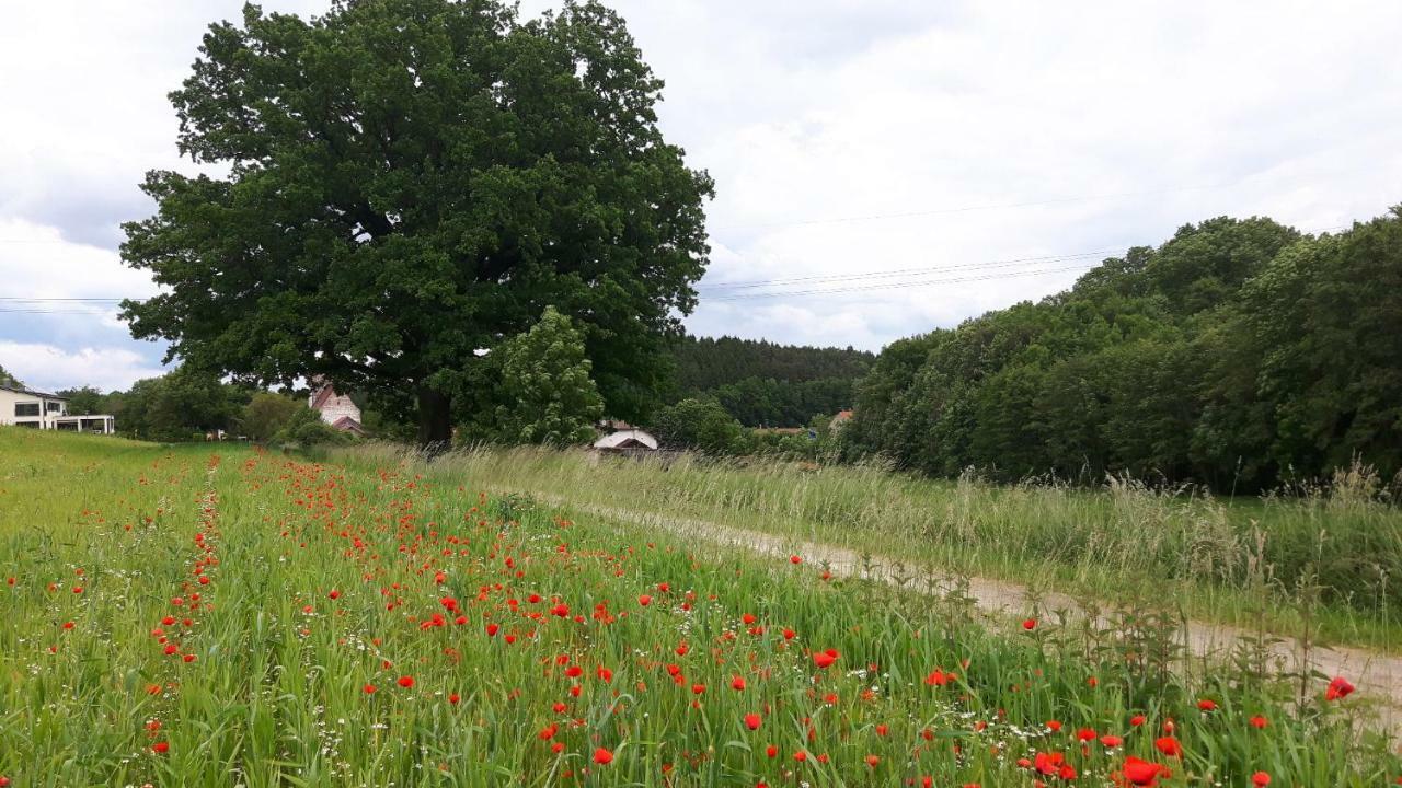 Spieglhof Apart Kumhausen エクステリア 写真